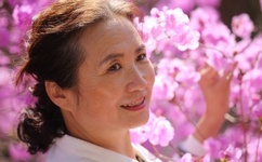 魔穗字幕组2017年3月